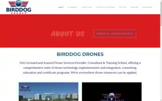 Birddogdrones.com Screenshot 2024-05-08 19:22:02