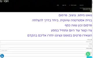 Goash.co.il Screenshot 2024-06-29 05:44:20