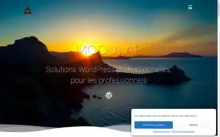 Modular.fr Screenshot 2024-07-01 04:45:54