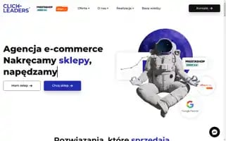 Click-leaders.pl Screenshot 2024-06-17 07:50:15