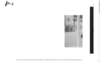 Milenasteiner.ch Screenshot 2024-05-20 12:46:07