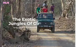 Palaktoursandtravels.com Screenshot 2024-04-17 16:33:05
