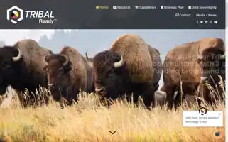 Tribalready.com Screenshot 2024-06-19 00:26:27