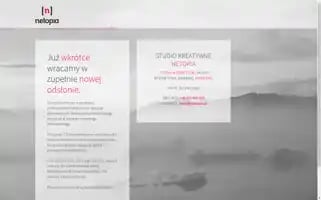 Netopia.pl Screenshot 2024-06-26 23:14:04