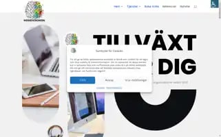 Webbdesignern.se Screenshot 2024-06-29 17:55:09