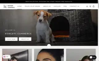 Konceptcommerce.com Screenshot 2024-05-04 01:18:32