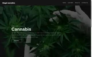 Illegalnarcotics.com Screenshot 2024-05-21 11:24:35