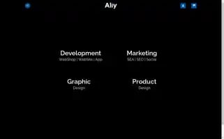 Aliy.eu Screenshot 2024-06-15 10:58:44
