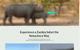 Nekatours.com Screenshot 2024-04-26 10:35:42
