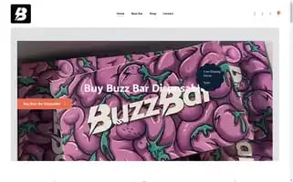 Buzzbarservices.com Screenshot 2024-05-27 11:57:44