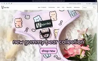 Korriko.com Screenshot 2024-05-04 09:53:11