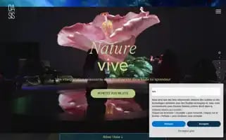 Oasis.im Screenshot 2024-07-02 10:41:13