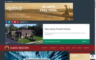Audiobacon.net Screenshot 2024-06-13 04:30:55