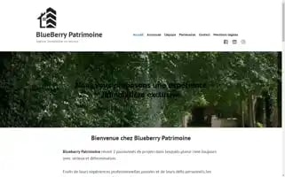 Bluepatrimoine.com Screenshot 2024-05-29 06:37:41