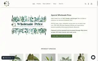 Thaiexoticgreenery.com Screenshot 2024-04-14 13:28:56