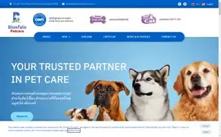 Bluefalogroup.com Screenshot 2024-05-27 13:31:49