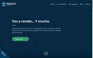 Fenicio.io Screenshot 2024-06-14 14:14:04