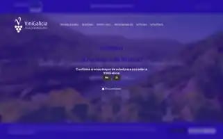 Vinigalicia.es Screenshot 2024-07-04 22:24:10