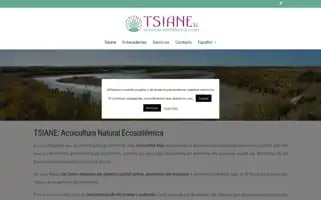 Tsiane.es Screenshot 2024-06-28 05:15:06