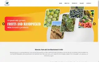 Wildwoodexport.com Screenshot 2024-05-24 03:18:59