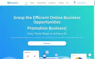 Shopsoln.com Screenshot 2024-06-17 00:41:13