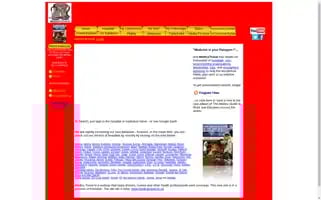 Medicstravel.com Screenshot 2024-04-17 03:32:15