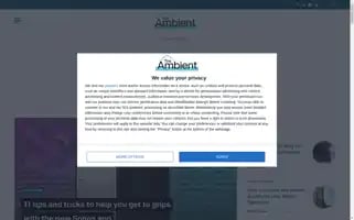 The-ambient.com Screenshot 2024-05-14 06:57:18