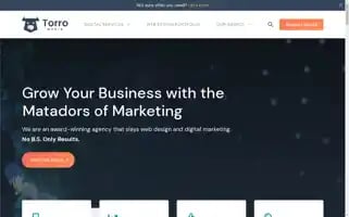 Torro.io Screenshot 2024-06-13 22:26:05