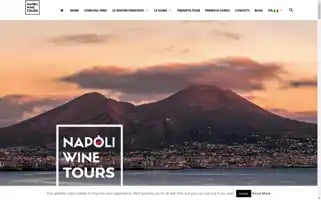 Napoliwinetours.com Screenshot 2024-04-17 07:39:18