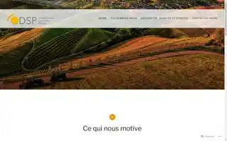 Dspswiss.com Screenshot 2024-05-26 19:01:48