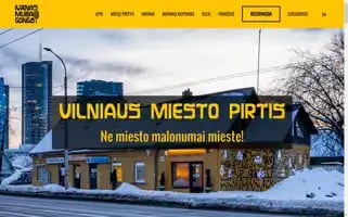 Ivanasmusagonga.lt Screenshot 2024-06-17 21:50:10