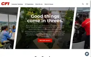 Cfidrive.com Screenshot 2024-07-01 08:46:33