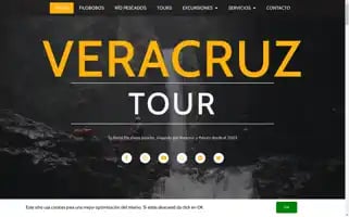 Veracruztour.com Screenshot 2024-04-17 17:00:07