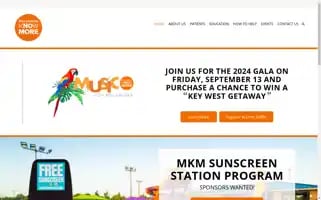 Melanomaknowmore.com Screenshot 2024-07-06 19:38:35