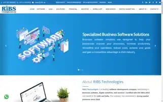 Ribstechnologies.com Screenshot 2024-07-04 03:34:39