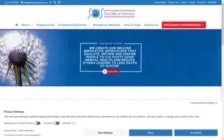 Suicideorsurvive.ie Screenshot 2024-06-17 11:12:37