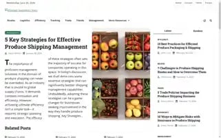 Shipperbusiness.com Screenshot 2024-06-26 20:26:05