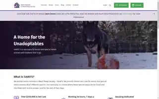 Saintsrescue.ca Screenshot 2024-06-16 12:12:37