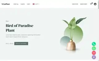 Yianplant.com Screenshot 2024-05-28 14:43:45