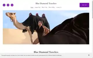 Bluediamondtravelers.com Screenshot 2024-04-17 04:48:58