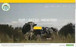 Rmbltd.ie Screenshot 2024-05-28 03:13:52