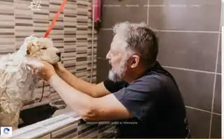 Doggies-selfdogwash.be Screenshot 2024-06-28 01:15:31