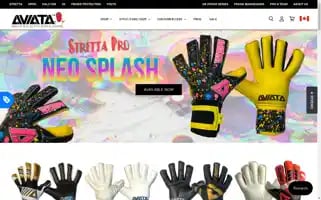 Aviatasports.com Screenshot 2024-06-13 23:43:17