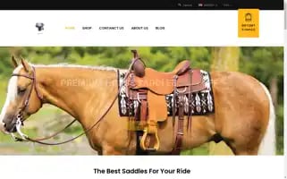 Buyhorsesaddlesonline.com Screenshot 2024-05-24 16:29:46