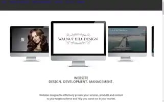Walnuthilldesign.com Screenshot 2024-07-04 17:44:26