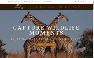Tanzaniaimagetravel.com Screenshot 2024-04-22 17:37:00