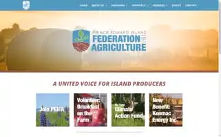 Peifa.ca Screenshot 2024-07-04 01:57:58