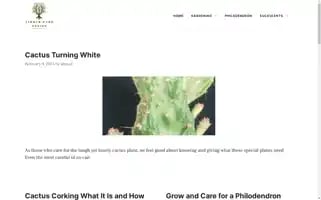 Timberdarkdesign.com Screenshot 2024-06-28 14:15:12