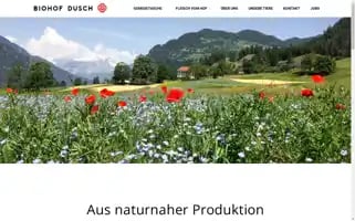 Hof-dusch.ch Screenshot 2024-06-18 18:22:00