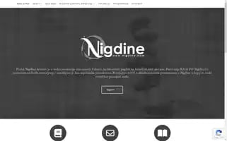 Nigdine.com Screenshot 2024-06-16 23:06:12